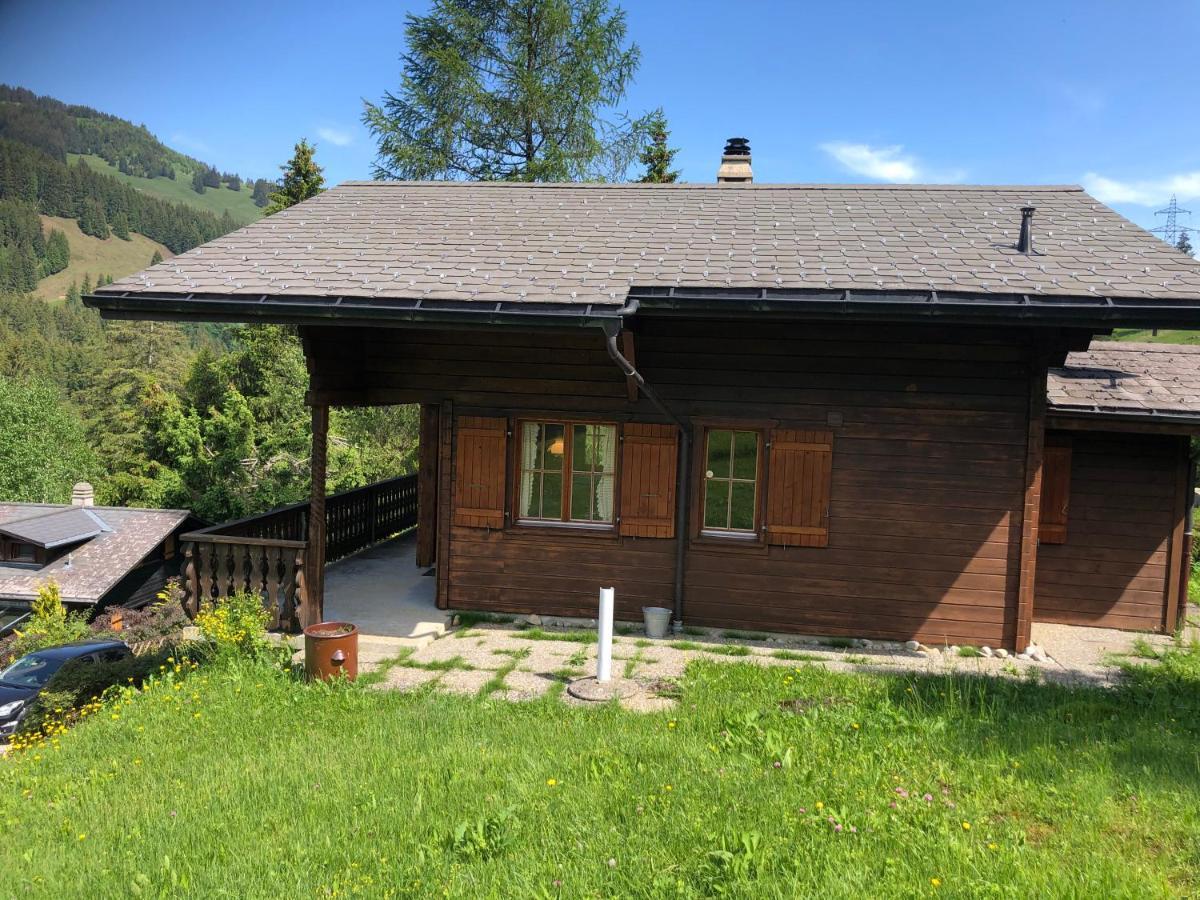 Mimoeseli Villa Bad-Schwarzsee Exterior foto